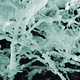 Image for article titled Scientists make next-generation computers with gold and DNA